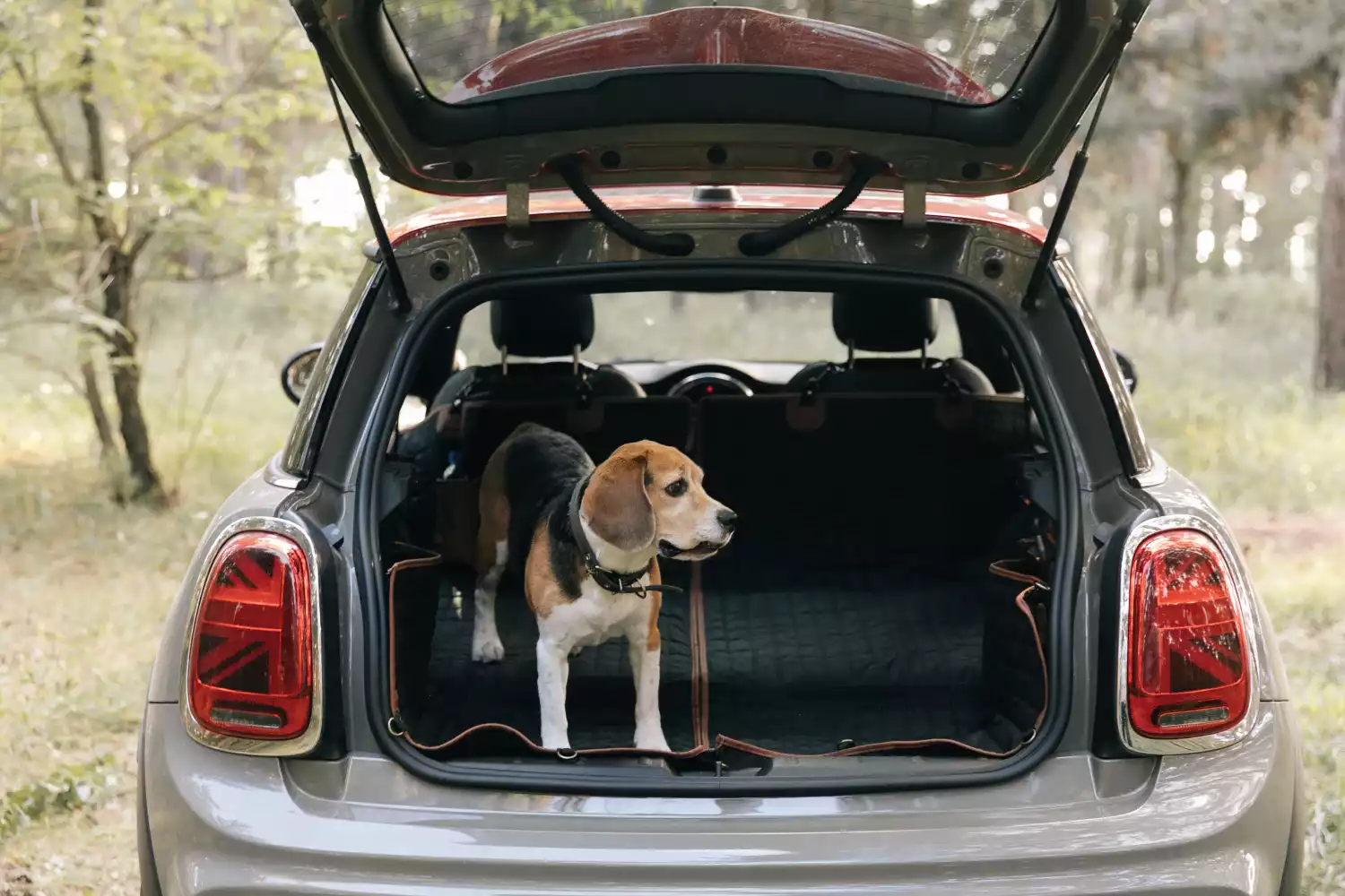 Staffordshire Bull Terriers back seat cover for Nissan Pathfinder