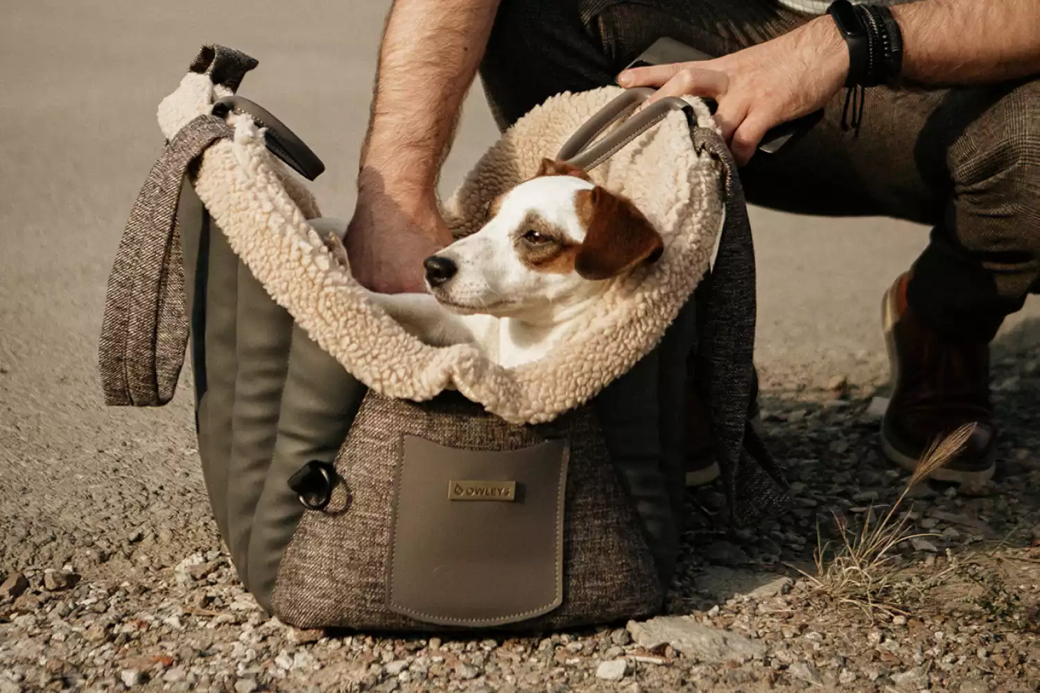 Australian Terrier Dog Carrier Car Seat for Hyundai Elantra