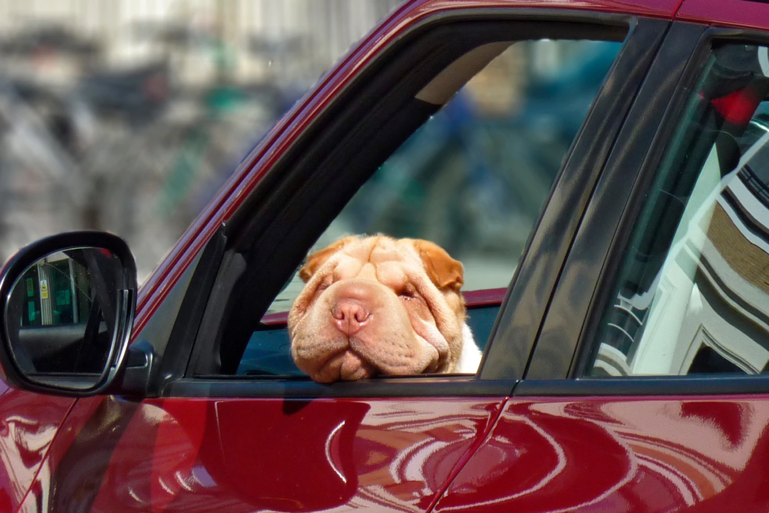 Toyota Highlander Dog Car Seat for Shar-Pei