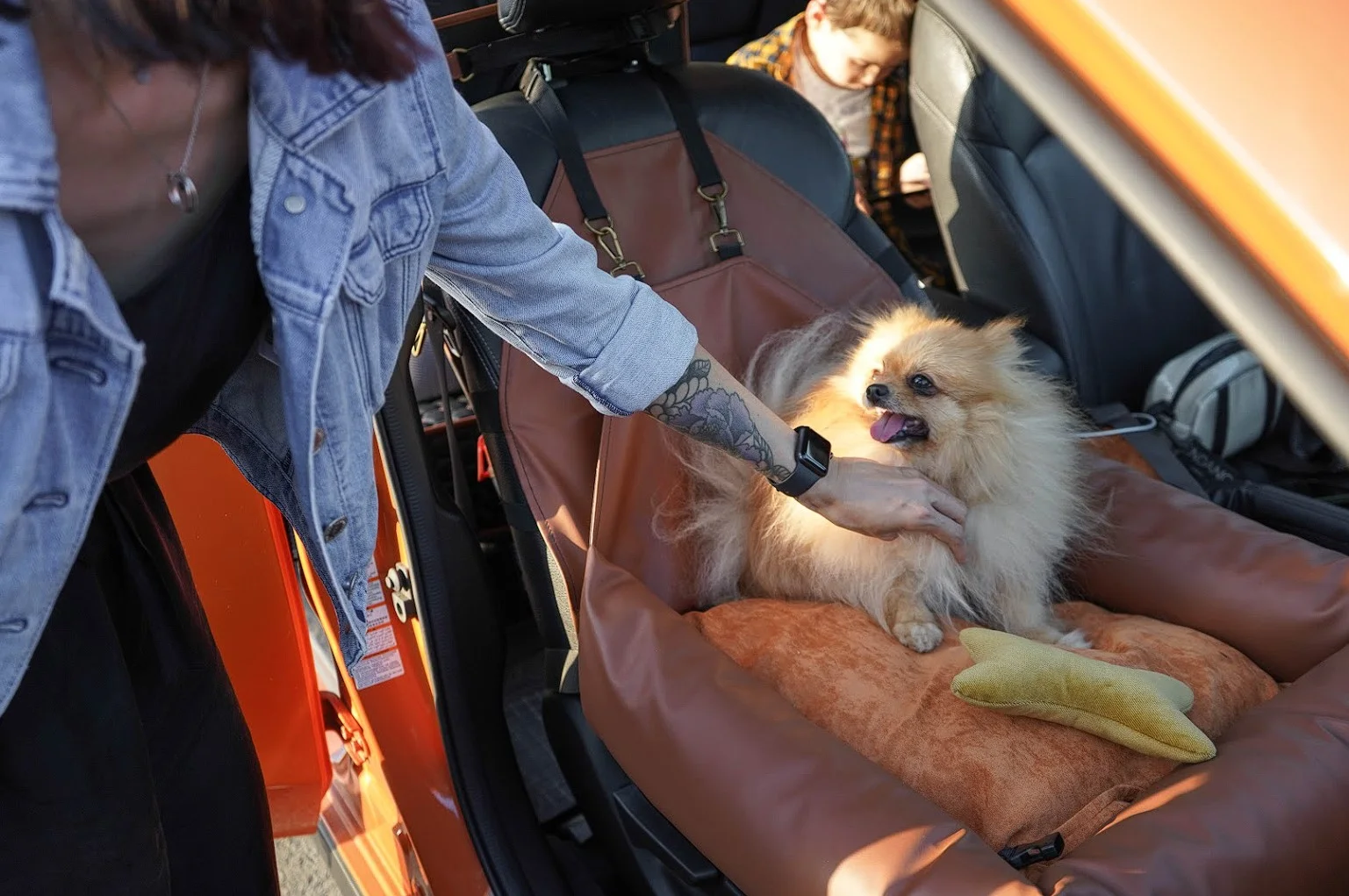 Toyota Highlander Dog Car Seat for Shar-Pei